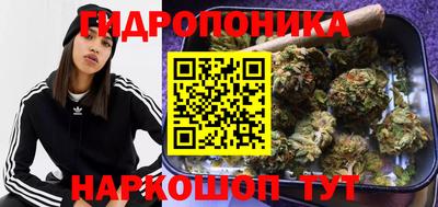 spice Жуковский